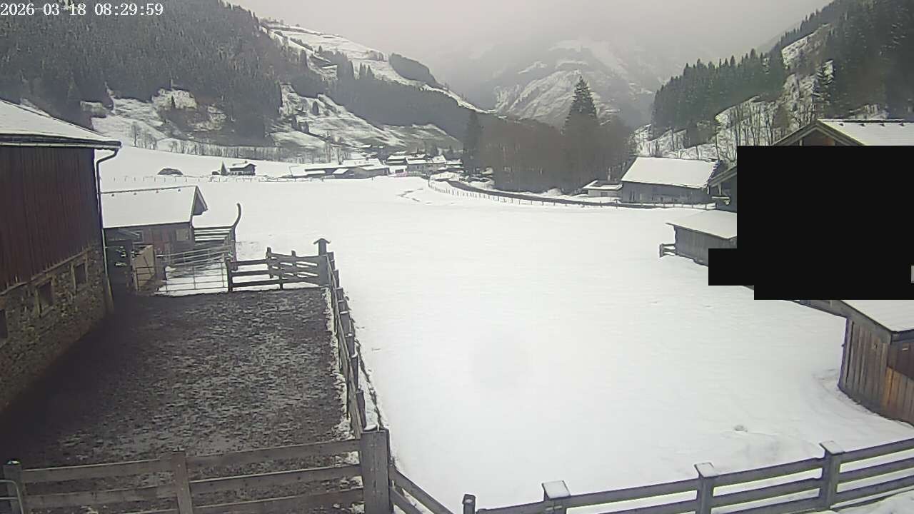Archiv Foto Webcam Raurisertal, Salzburger Land