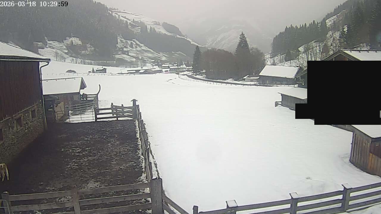 Archiv Foto Webcam Raurisertal, Salzburger Land