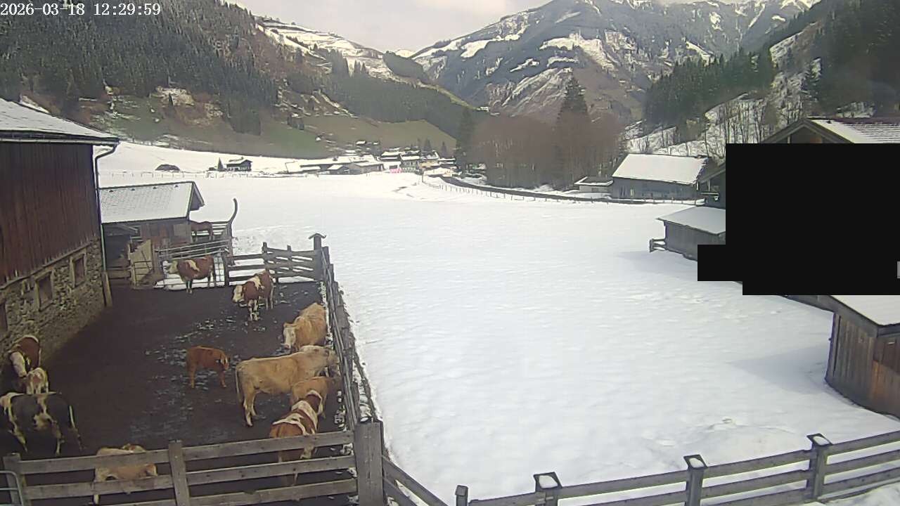 Archiv Foto Webcam Raurisertal, Salzburger Land