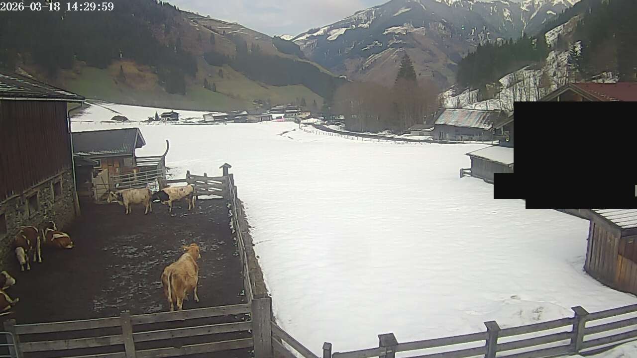 Archiv Foto Webcam Raurisertal, Salzburger Land