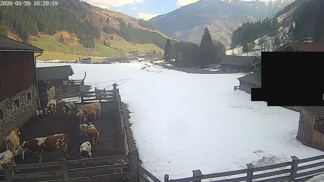 Archived image Webcam Rauris, Austria