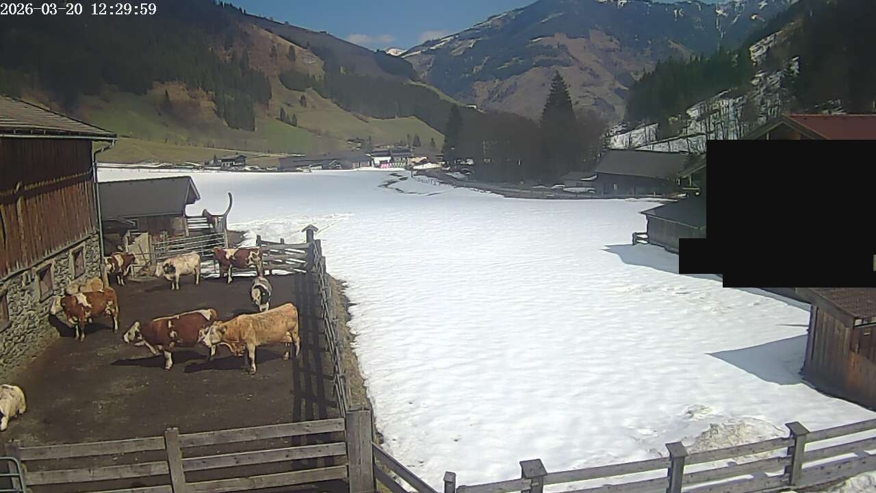 Archived image Webcam Rauris, Austria