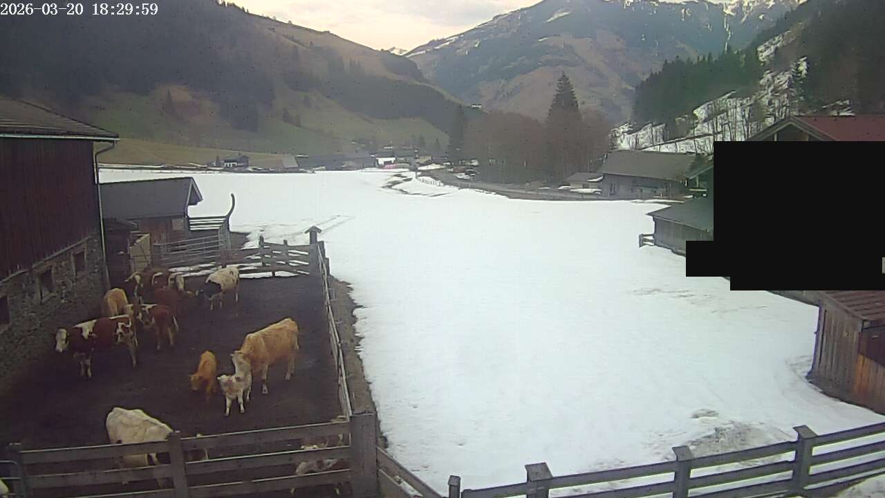 Archived image Webcam Rauris, Austria