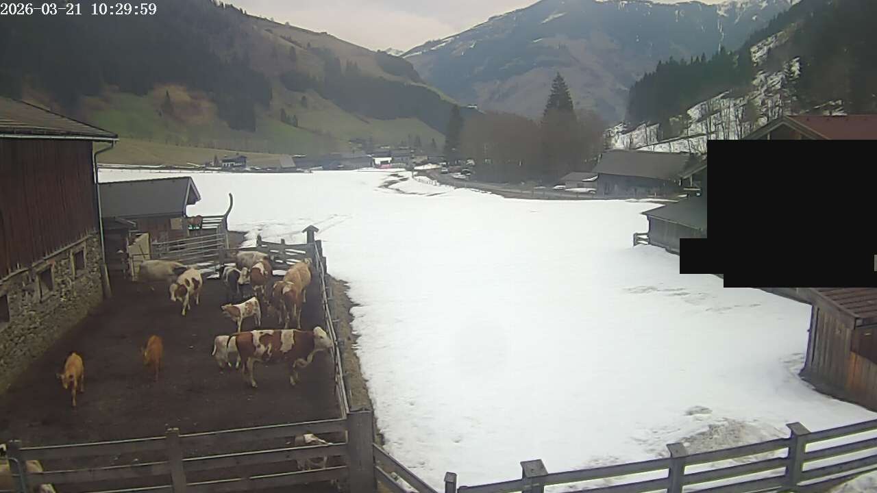 Archiv Foto Webcam Raurisertal, Salzburger Land