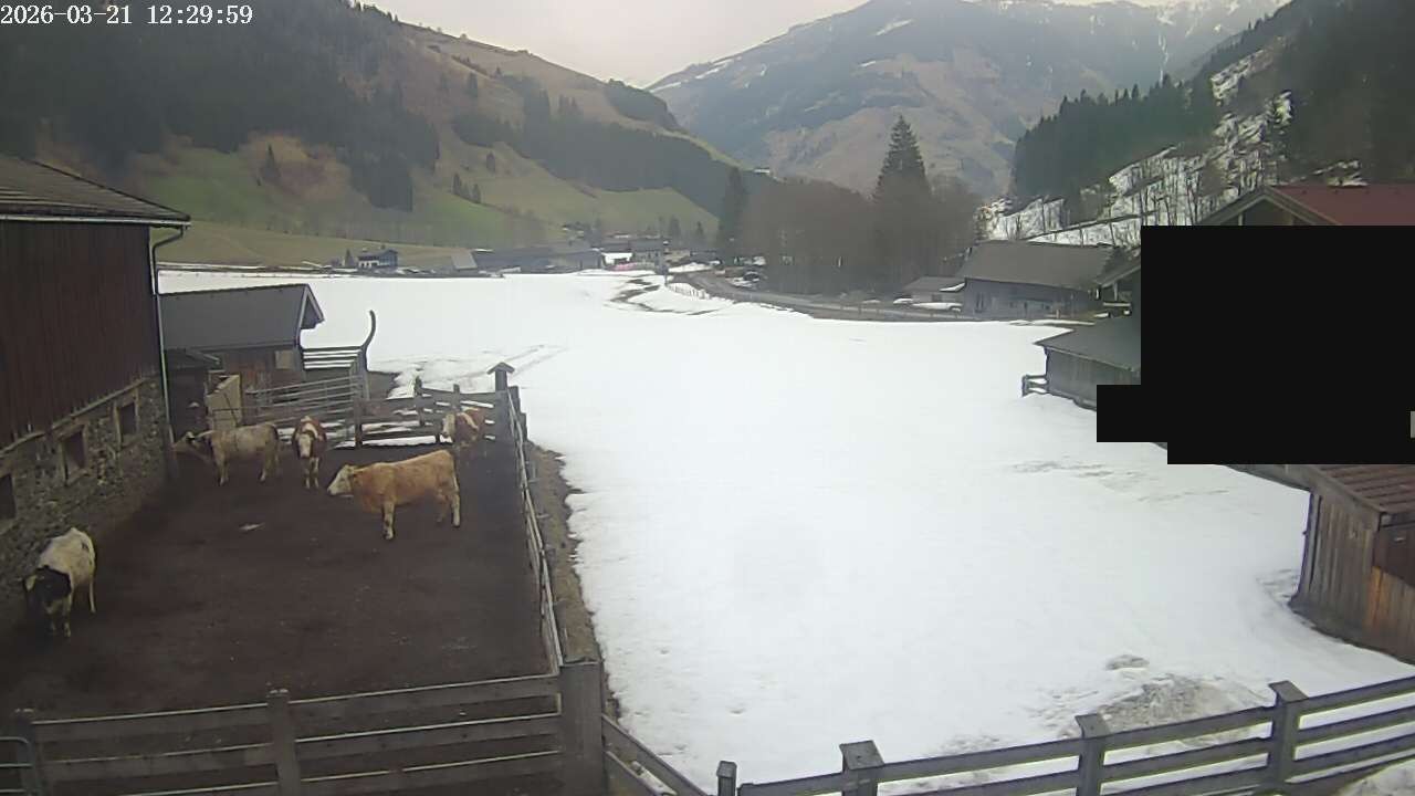 Archiv Foto Webcam Raurisertal, Salzburger Land