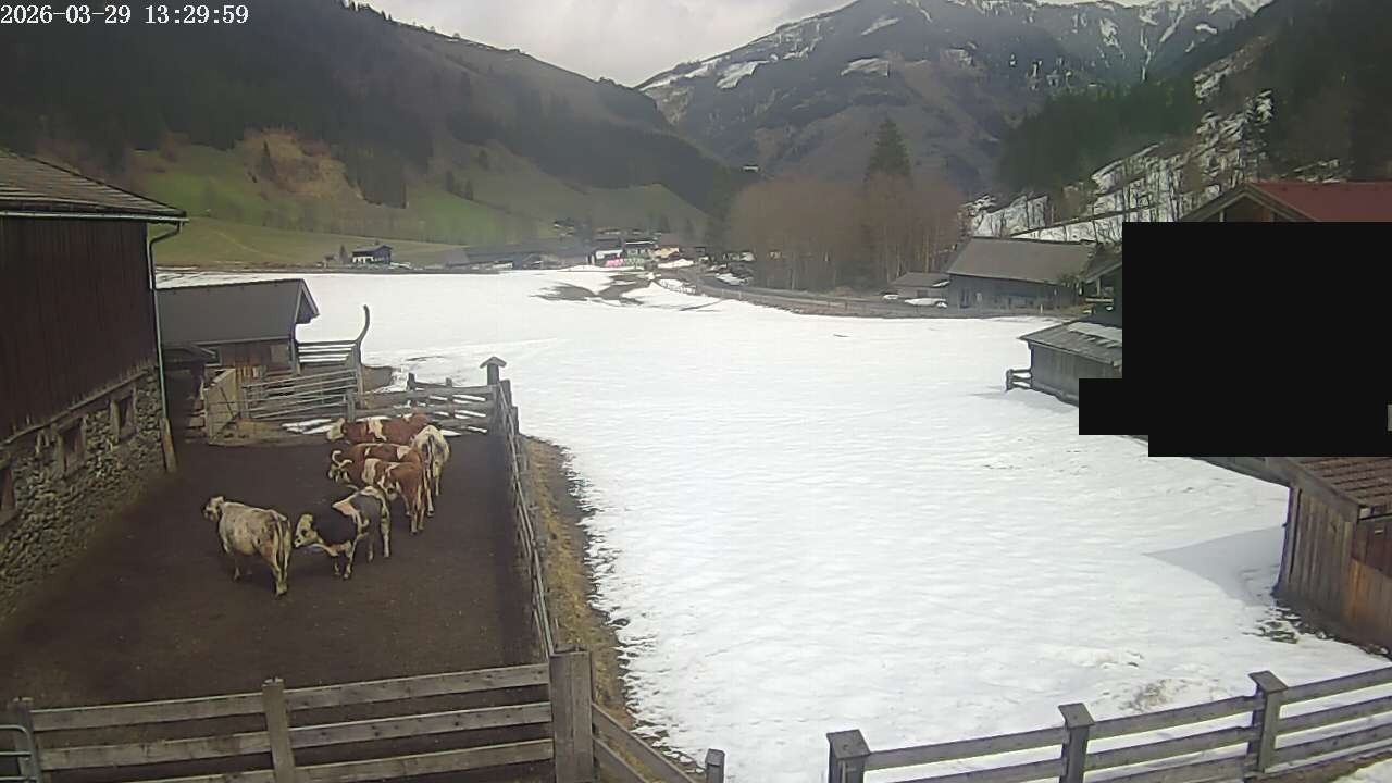 Archiv Foto Webcam Raurisertal, Salzburger Land