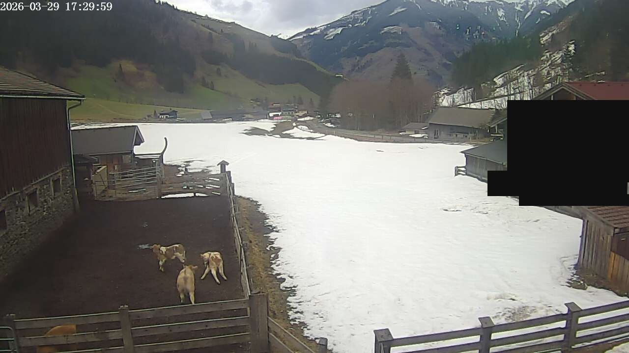 Archiv Foto Webcam Raurisertal, Salzburger Land