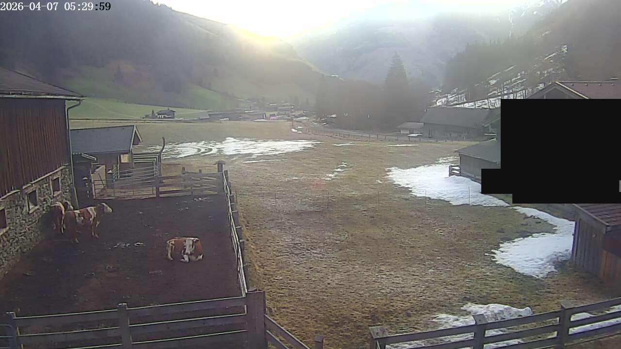 Archiv Foto Webcam Raurisertal, Salzburger Land