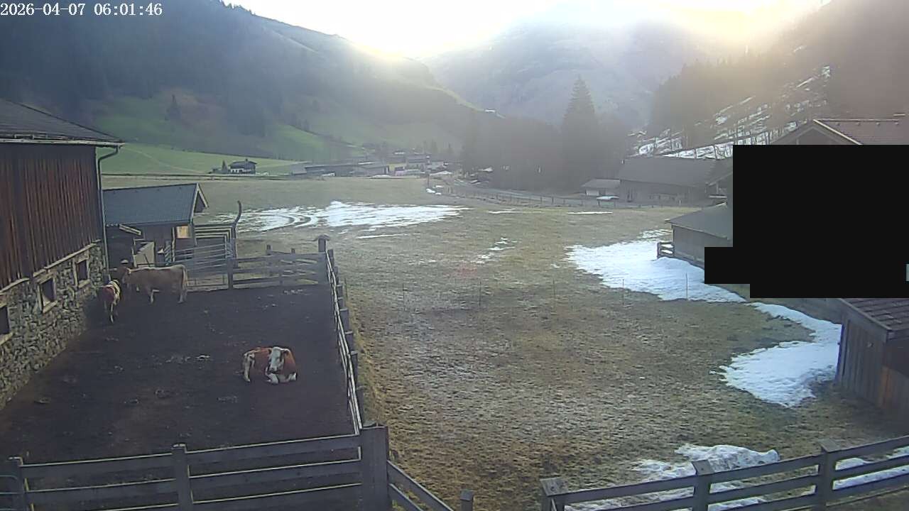 Archiv Foto Webcam Raurisertal, Salzburger Land
