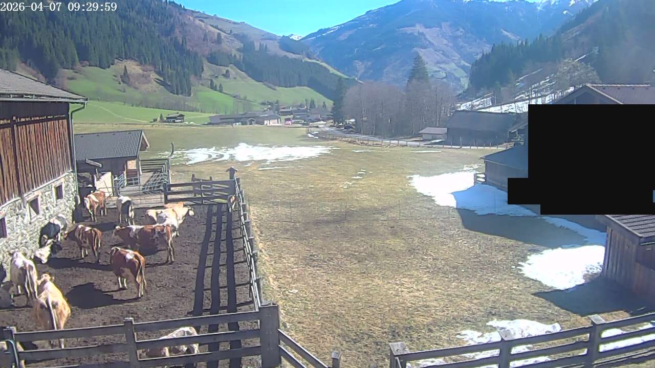 Archiv Foto Webcam Raurisertal, Salzburger Land