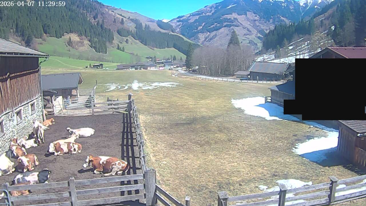 Archiv Foto Webcam Raurisertal, Salzburger Land