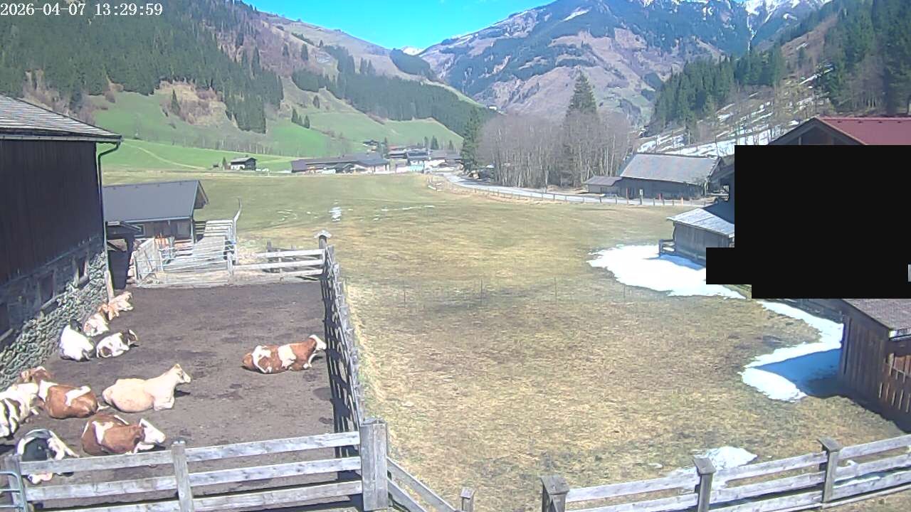 Archiv Foto Webcam Raurisertal, Salzburger Land