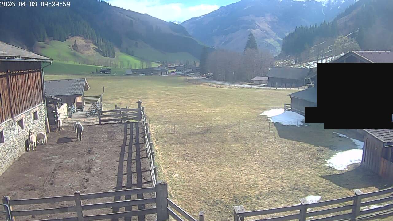 Archiv Foto Webcam Raurisertal, Salzburger Land