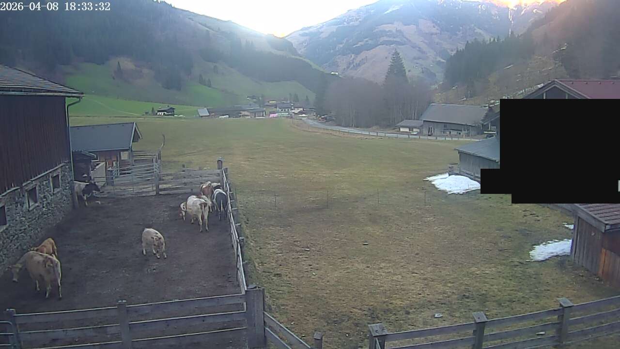 Archiv Foto Webcam Raurisertal, Salzburger Land