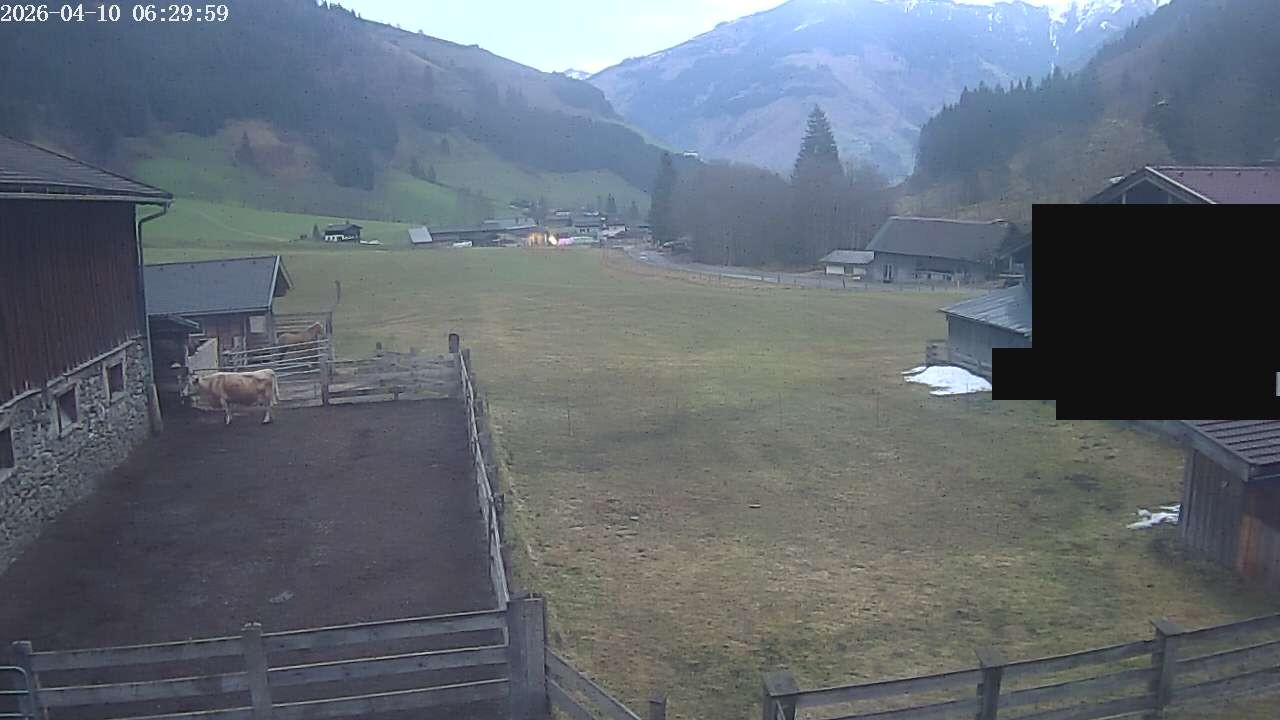 Archiv Foto Webcam Raurisertal, Salzburger Land