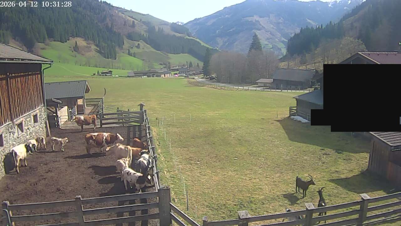 Archived image Webcam Rauris, Austria
