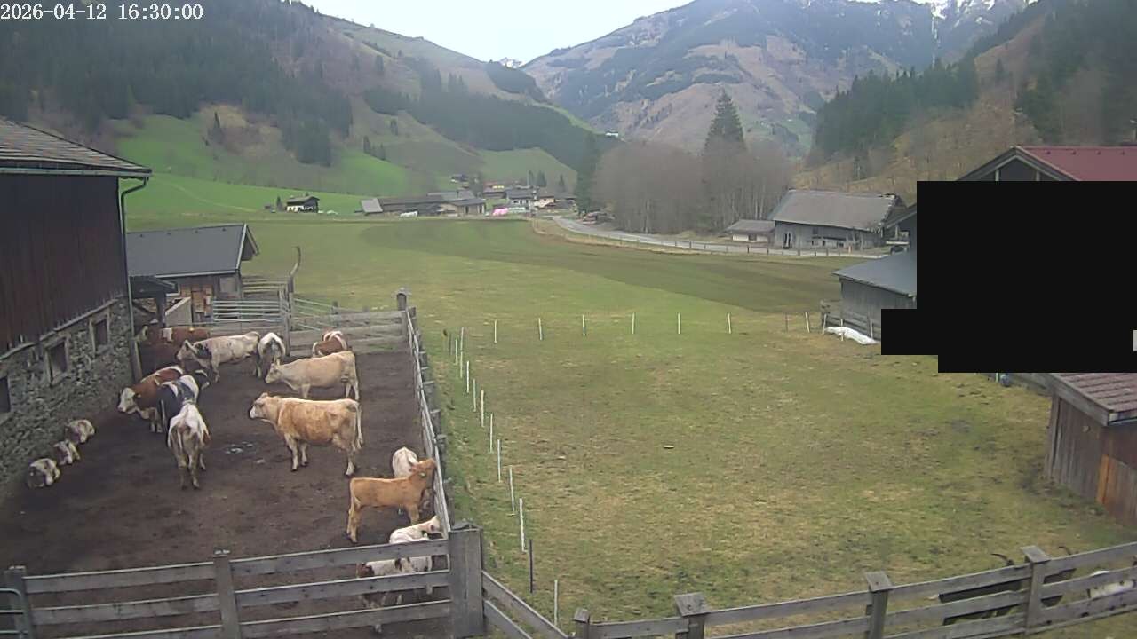 Archived image Webcam Rauris, Austria