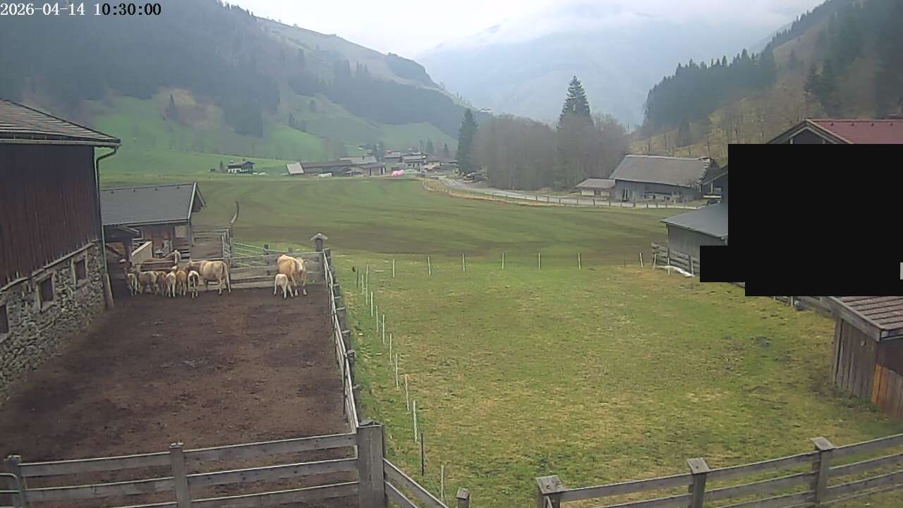 Archiv Foto Webcam Raurisertal, Salzburger Land