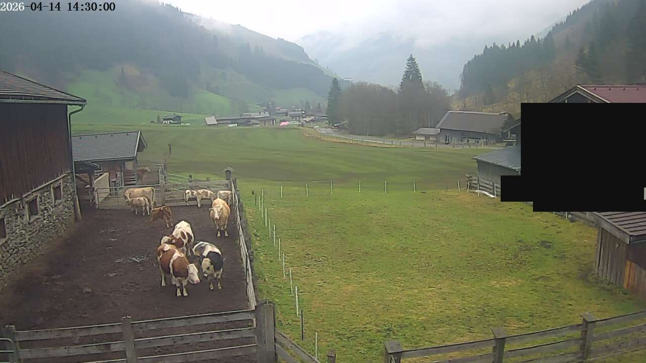 Archiv Foto Webcam Raurisertal, Salzburger Land