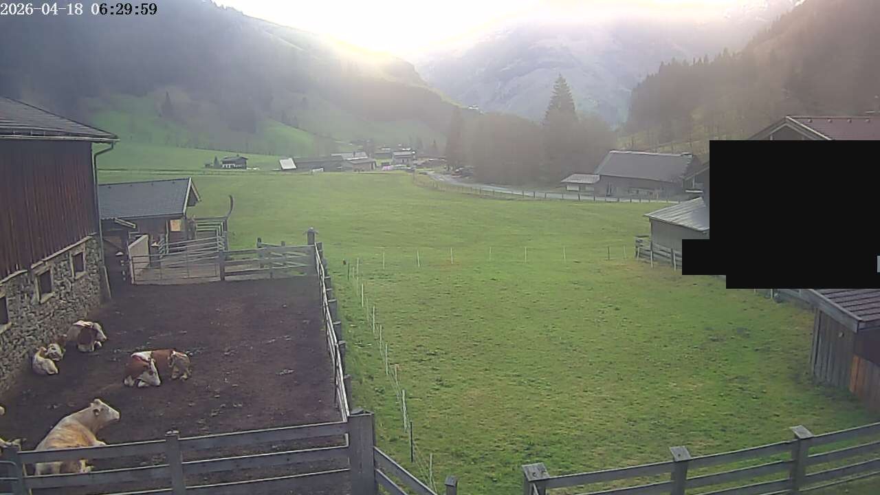 Archiv Foto Webcam Raurisertal, Salzburger Land