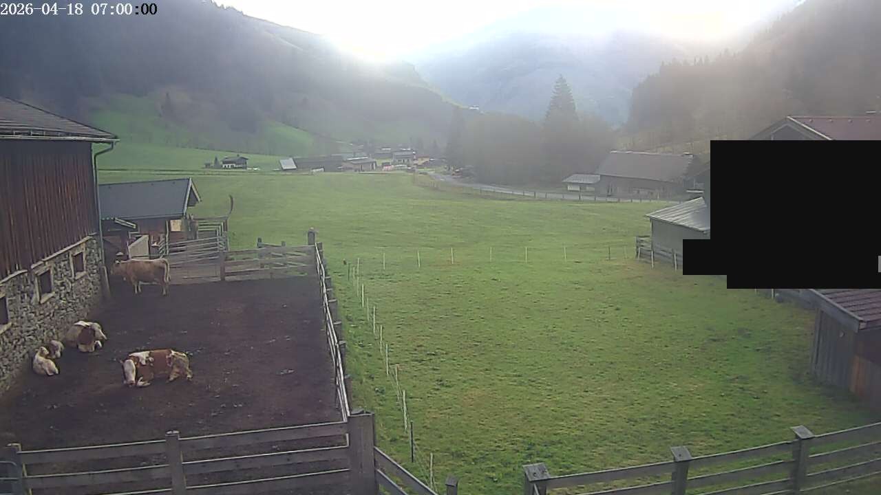 Archiv Foto Webcam Raurisertal, Salzburger Land