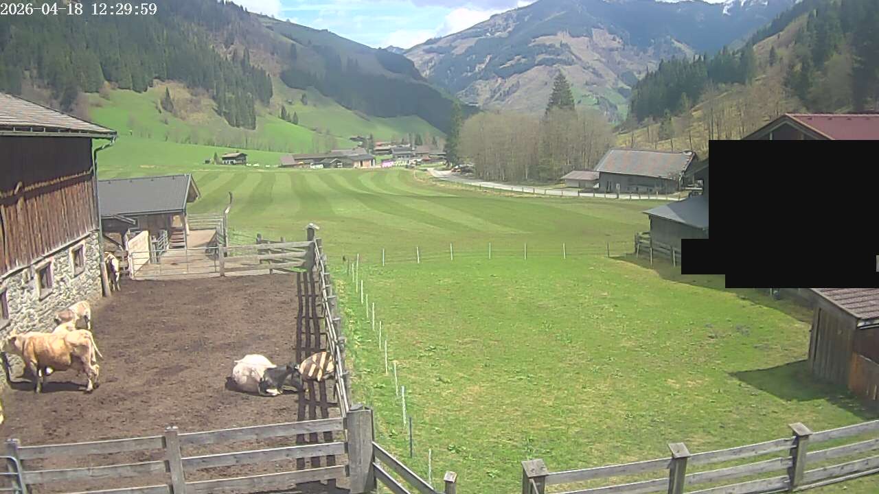 Archiv Foto Webcam Raurisertal, Salzburger Land