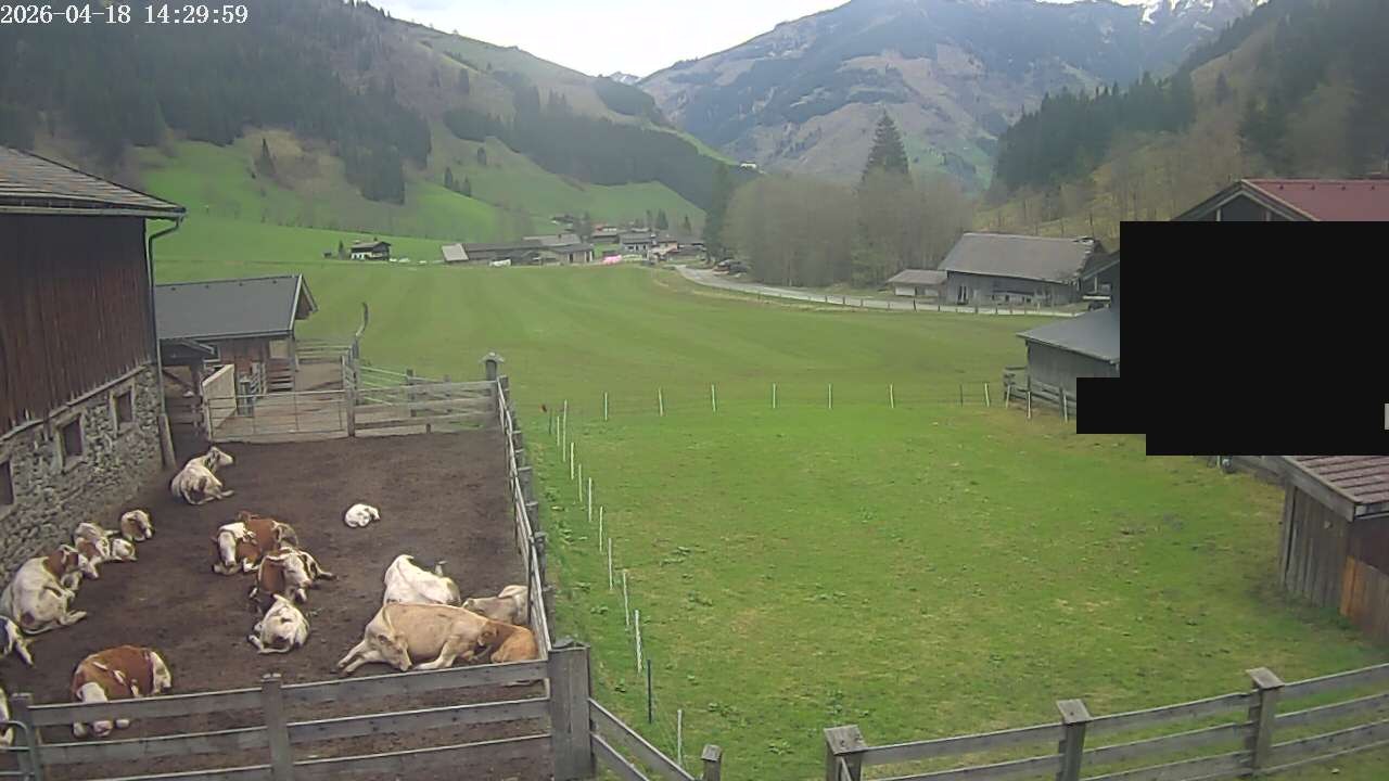 Archiv Foto Webcam Raurisertal, Salzburger Land