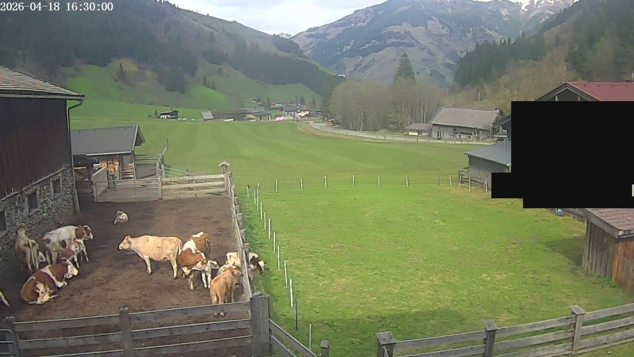 Archiv Foto Webcam Raurisertal, Salzburger Land