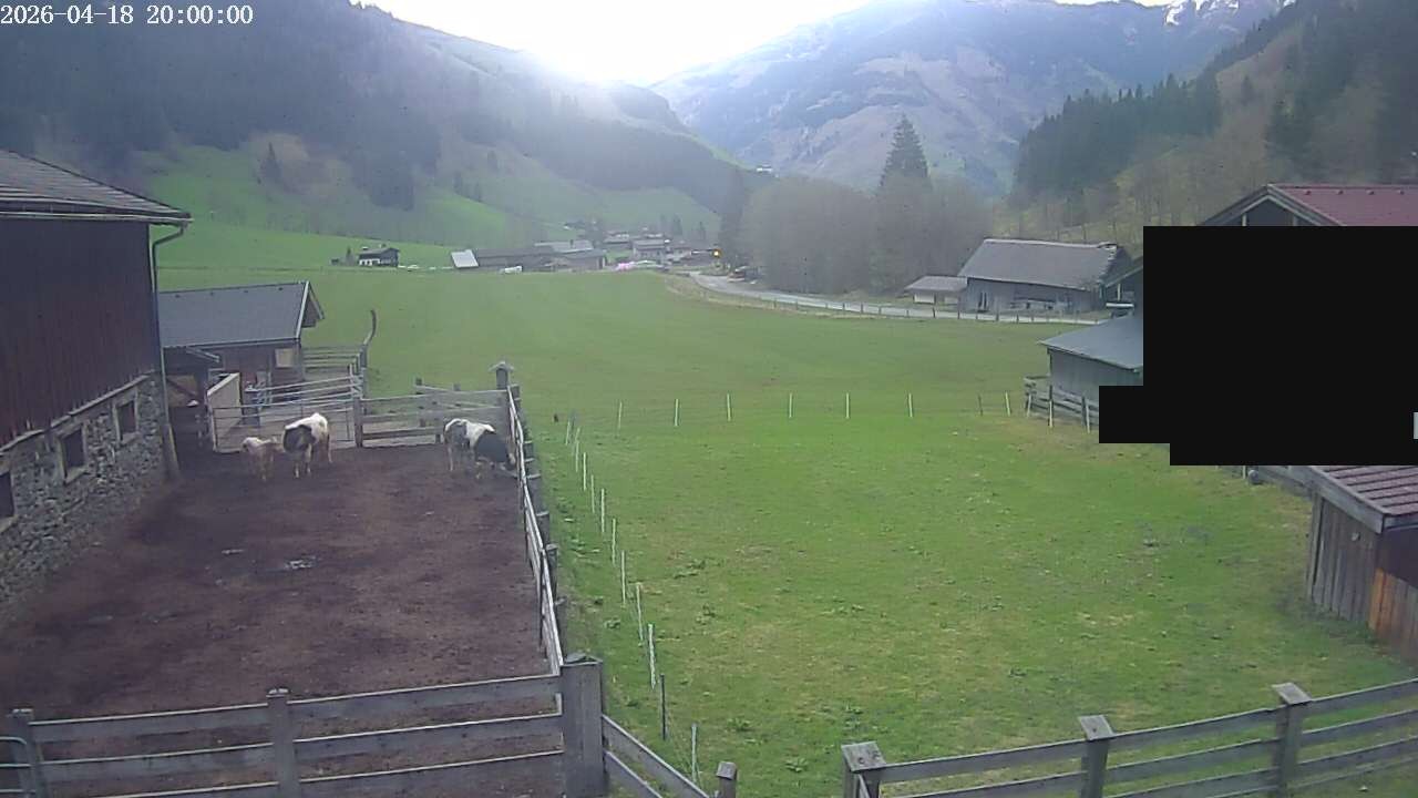 Archiv Foto Webcam Raurisertal, Salzburger Land