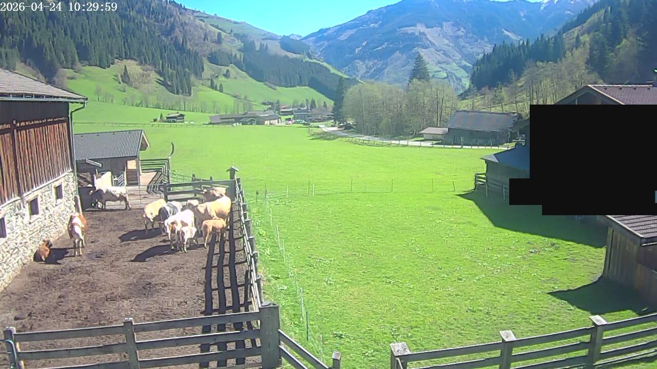 Archived image Webcam Rauris, Austria