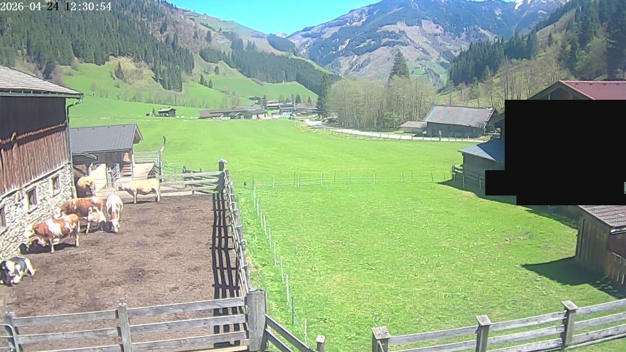 Archived image Webcam Rauris, Austria