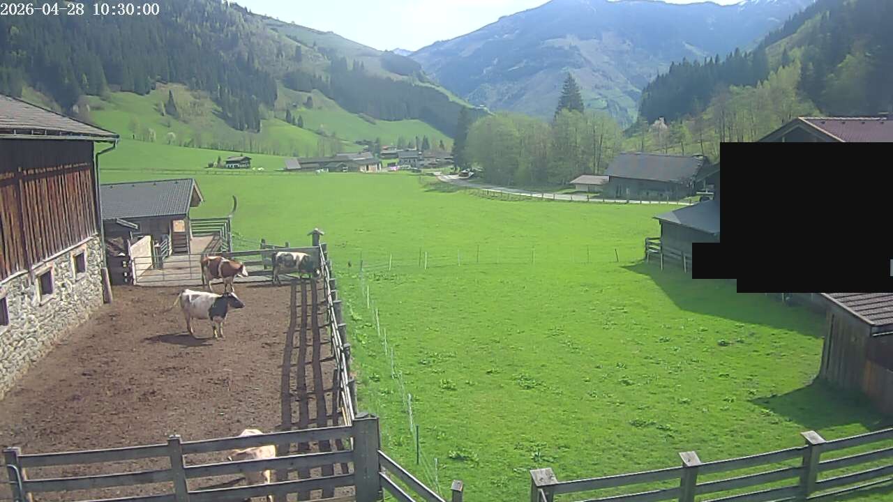 Archiv Foto Webcam Raurisertal, Salzburger Land