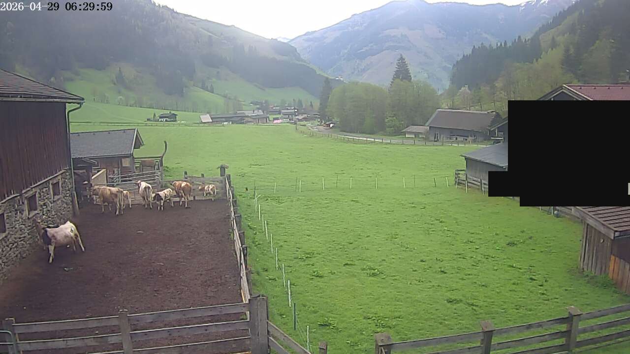 Archiv Foto Webcam Raurisertal, Salzburger Land