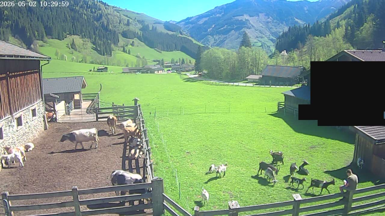 Archived image Webcam Rauris, Austria