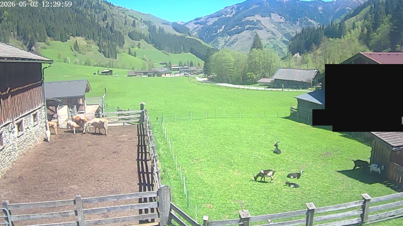 Archived image Webcam Rauris, Austria