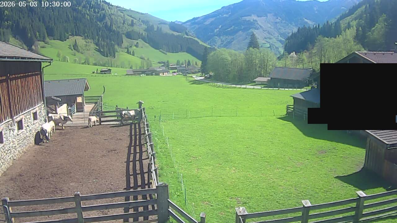 Archiv Foto Webcam Raurisertal, Salzburger Land