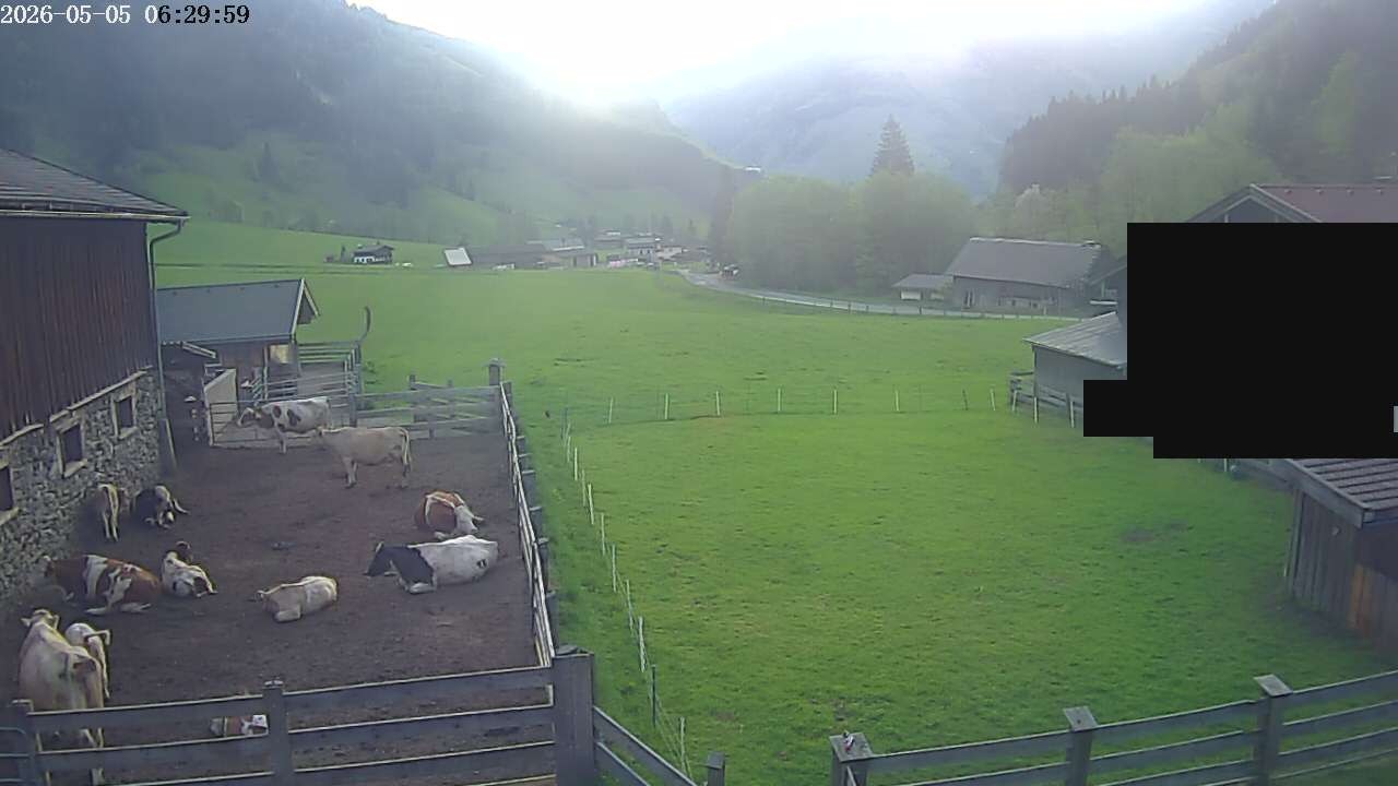 Archiv Foto Webcam Raurisertal, Salzburger Land
