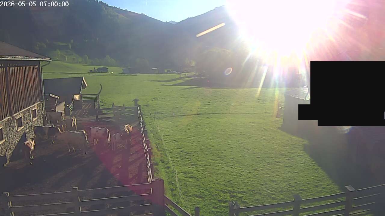 Archiv Foto Webcam Raurisertal, Salzburger Land