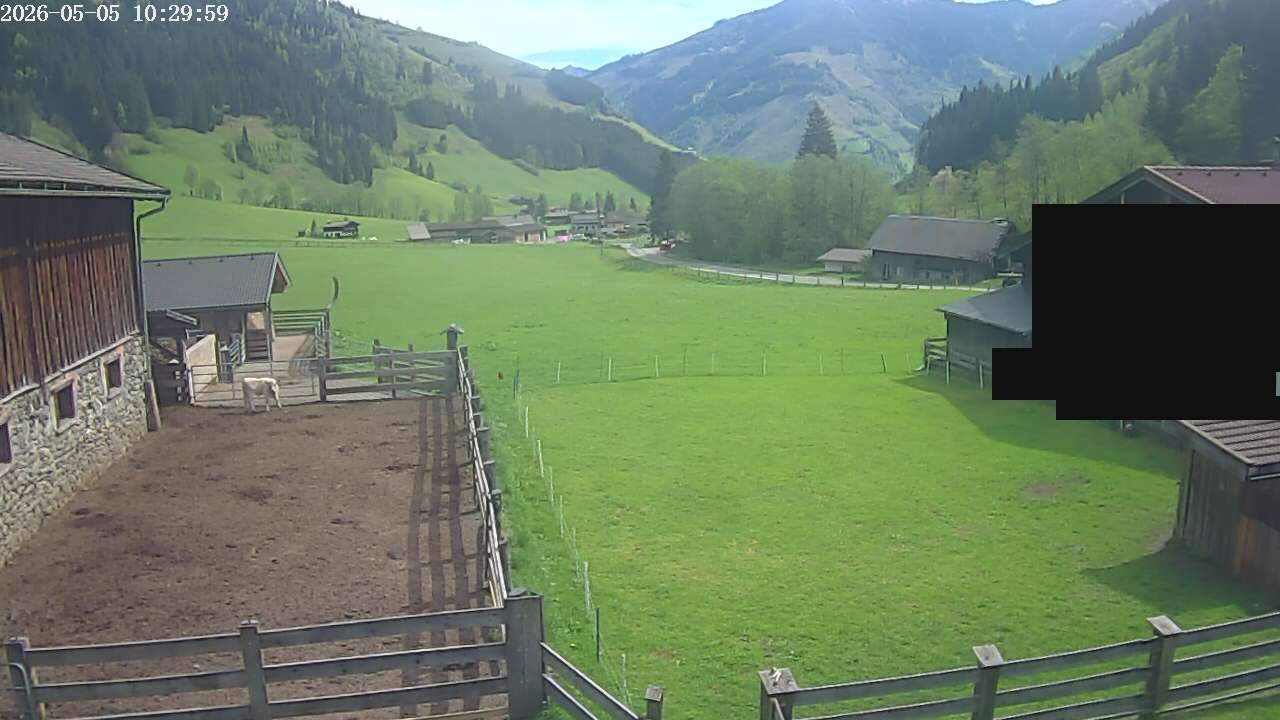Archiv Foto Webcam Raurisertal, Salzburger Land