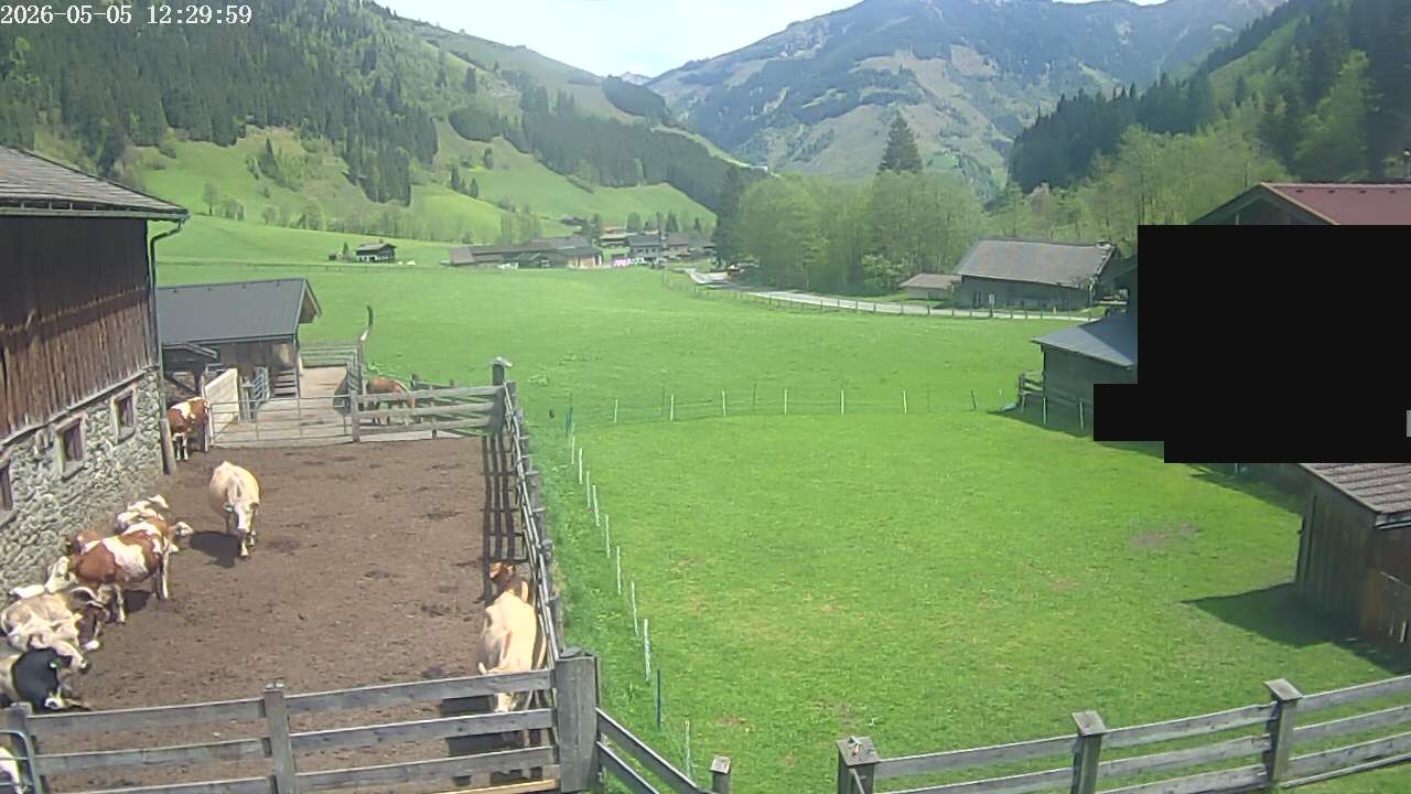 Archiv Foto Webcam Raurisertal, Salzburger Land