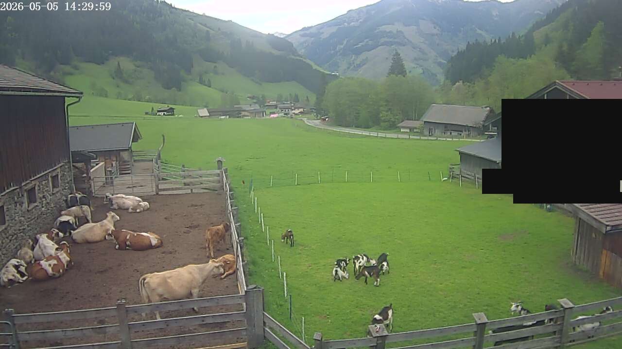 Archiv Foto Webcam Raurisertal, Salzburger Land