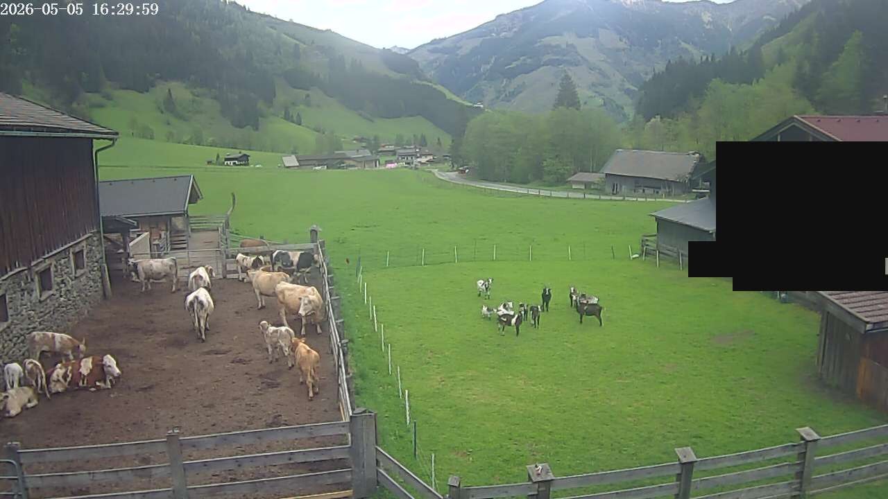 Archiv Foto Webcam Raurisertal, Salzburger Land