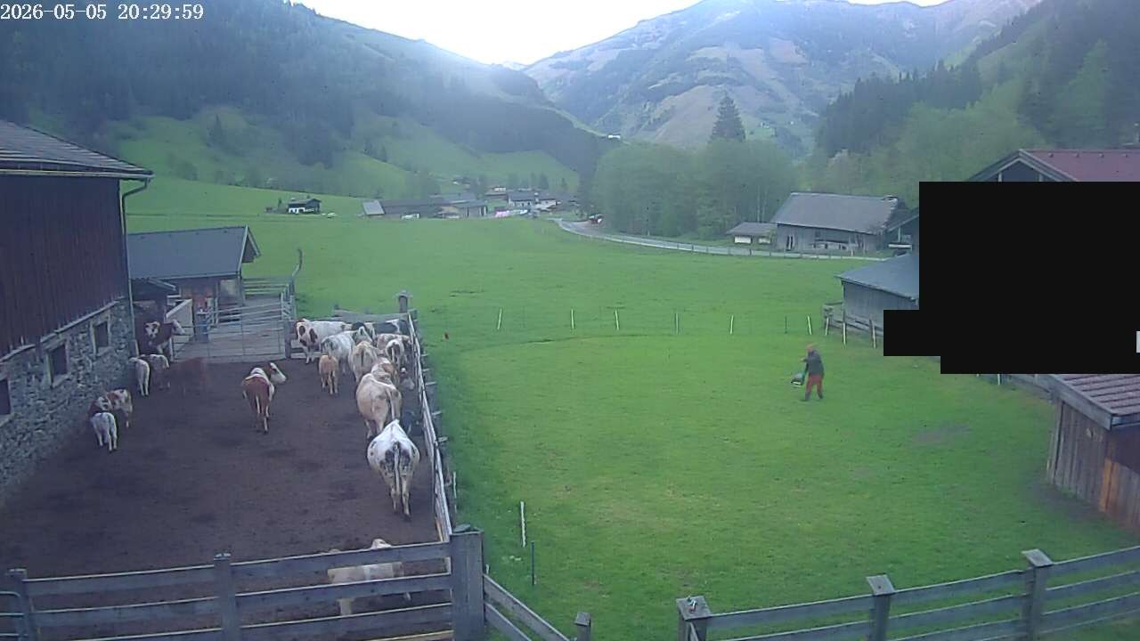 Archiv Foto Webcam Raurisertal, Salzburger Land