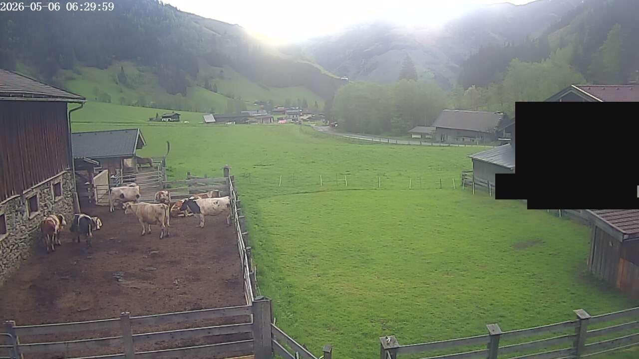 Archiv Foto Webcam Raurisertal, Salzburger Land