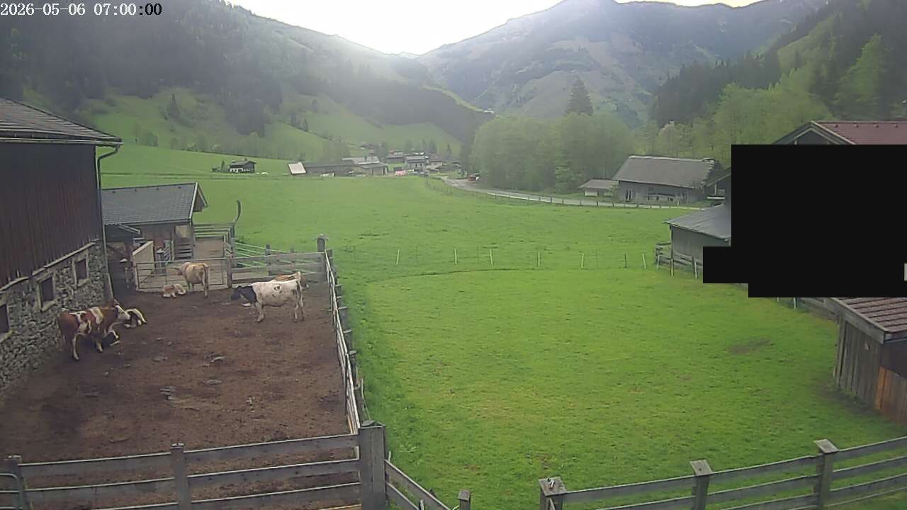 Archiv Foto Webcam Raurisertal, Salzburger Land
