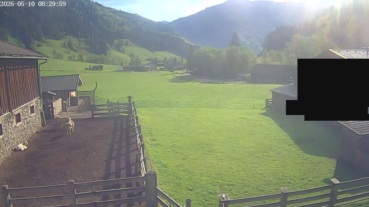 Archiv Foto Webcam Raurisertal, Salzburger Land