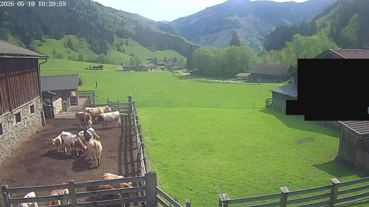 Archiv Foto Webcam Raurisertal, Salzburger Land