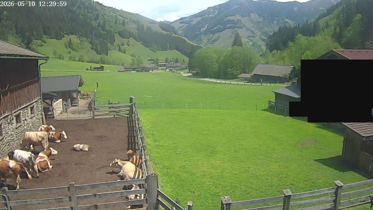 Archiv Foto Webcam Raurisertal, Salzburger Land