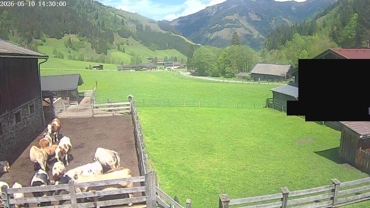 Archiv Foto Webcam Raurisertal, Salzburger Land