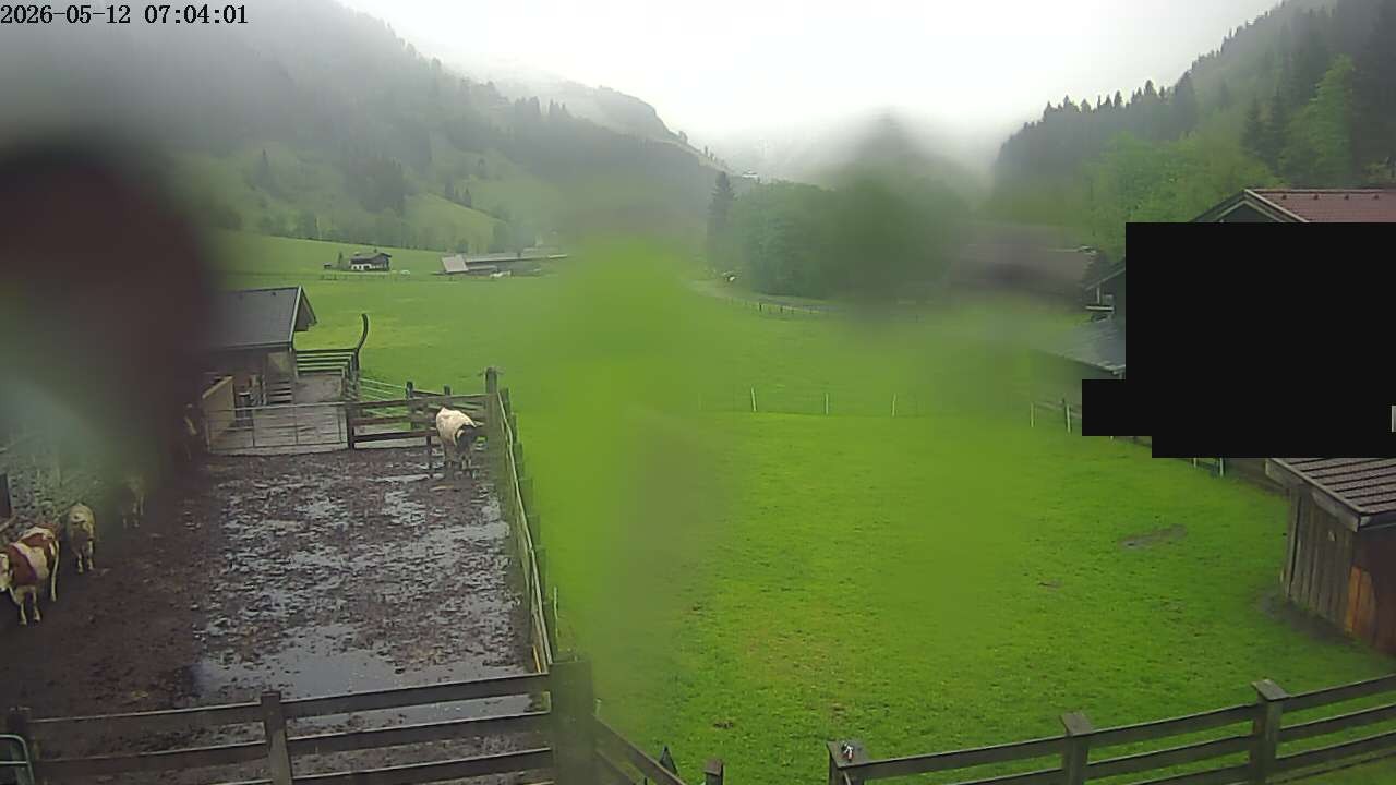 Archiv Foto Webcam Raurisertal, Salzburger Land